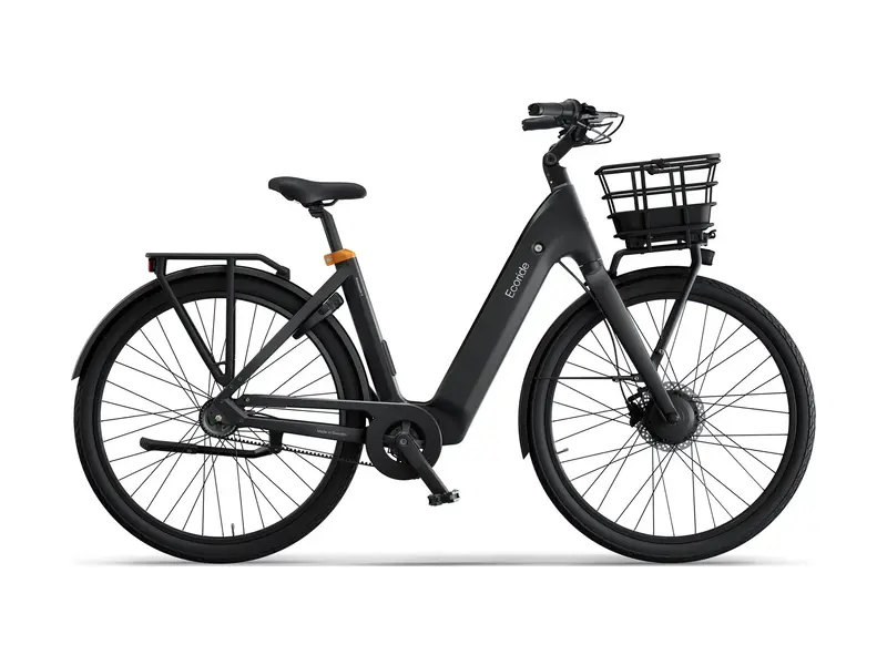 Ecoride Ambassador 4